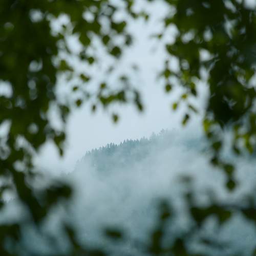 Photo #13688768