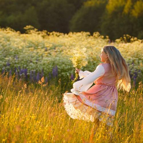 Photo #13688772