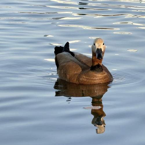 Photo #13688803