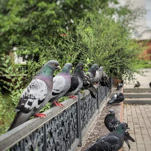 Photo #13688902