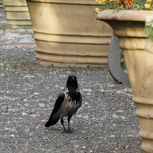 Photo #13688942