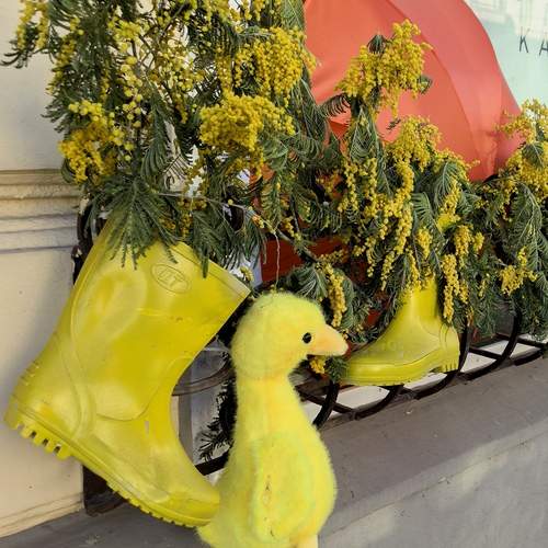 Photo #13688971