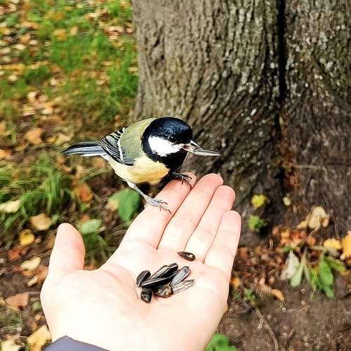Photo #13688979