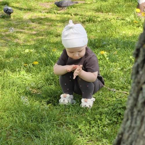Photo #13688986