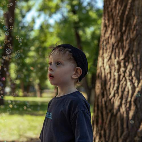 Photo #13688996