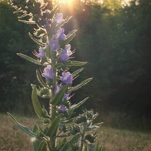 Photo #13689004