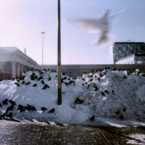 Photo #13689010