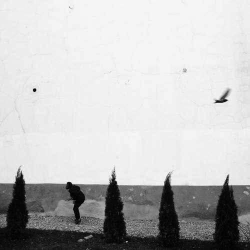Photo #13689014