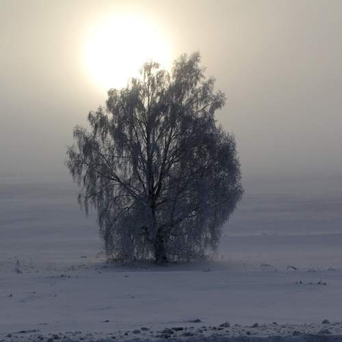 Photo #13689019