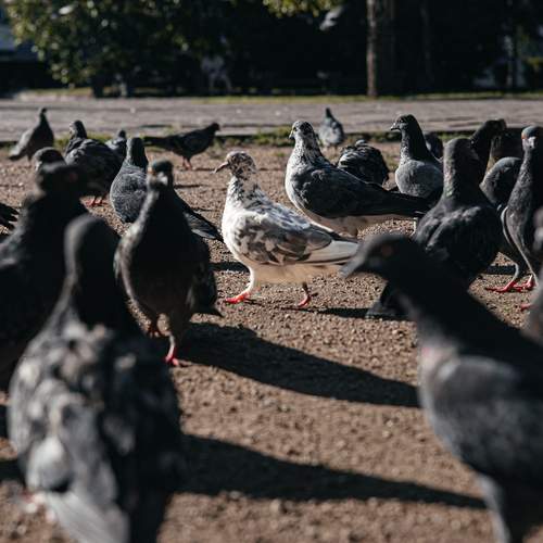 Photo #13689042