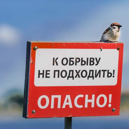 Photo #13689046