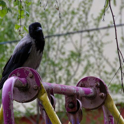 Photo #13689102