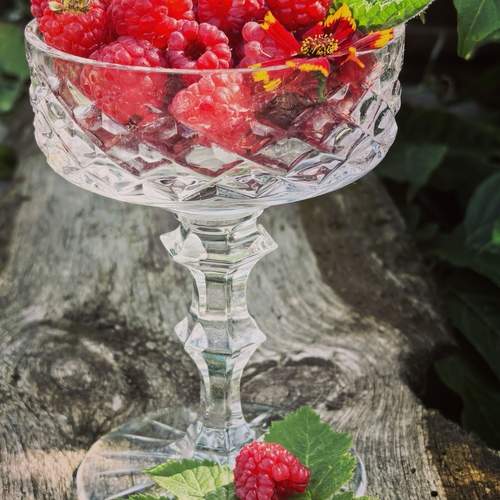 Photo #13689133
