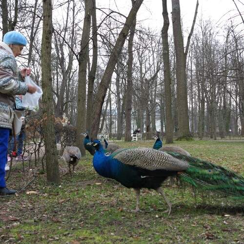 Photo #13689176