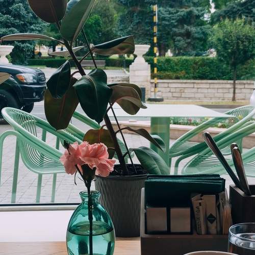 Photo #13689225