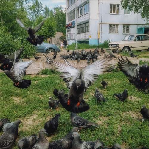 Photo #13689230