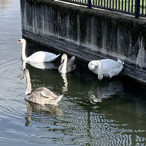 Photo #13689248