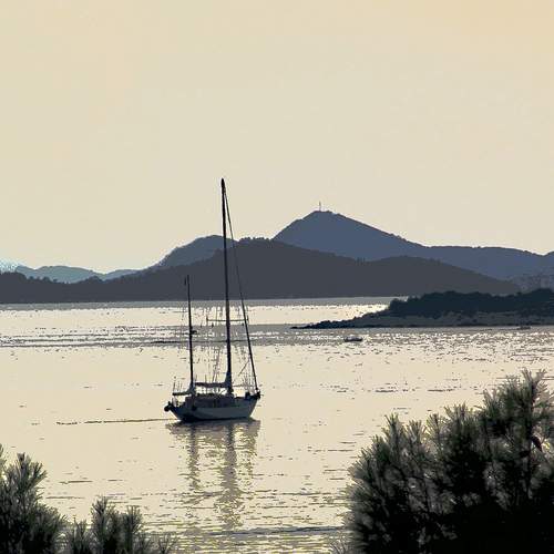 Photo #13689348