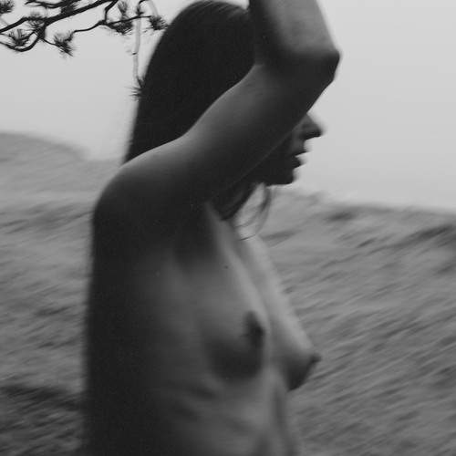 Photo #13689373