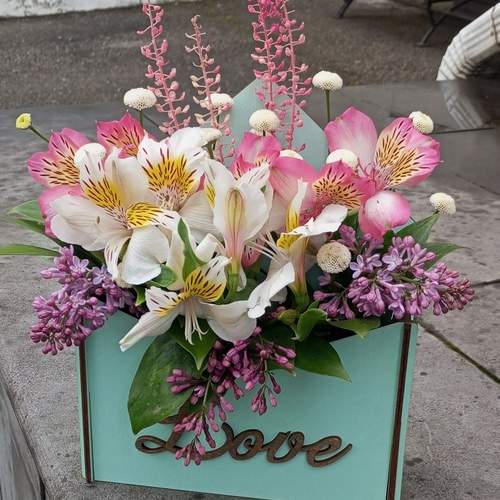 Photo #13689378