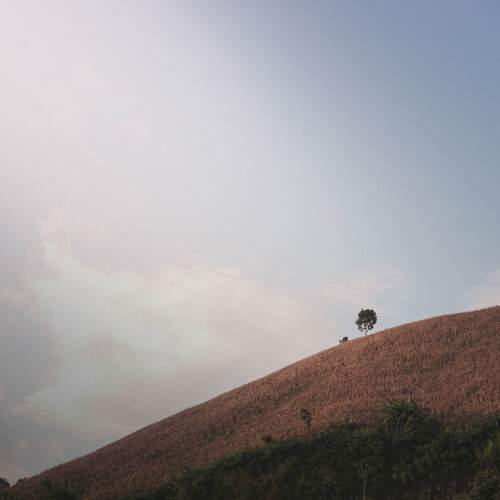 Photo #13689388