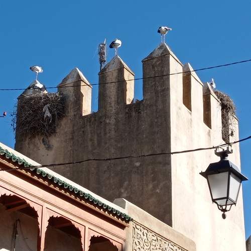 Photo #13689400