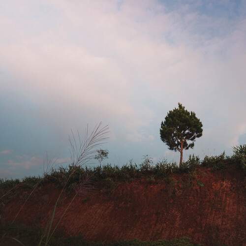 Photo #13689422