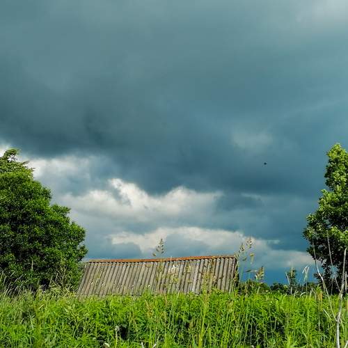 Photo #13689439