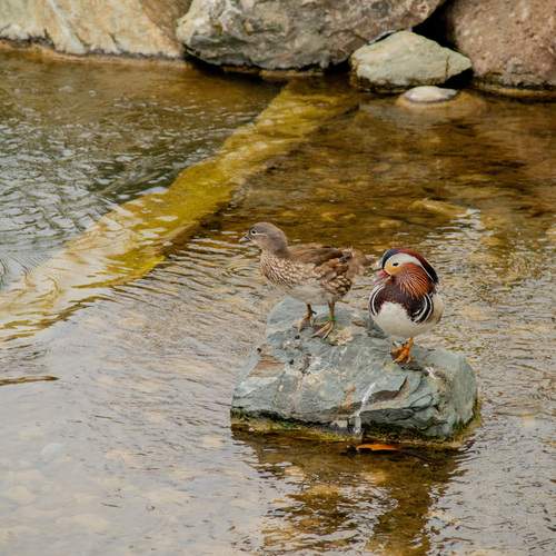 Photo #13689507