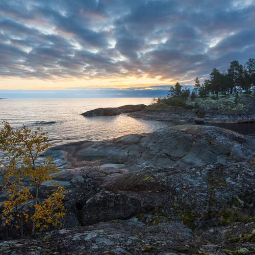 Photo #13689520