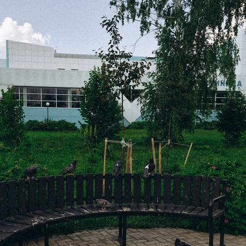 Photo #13689588