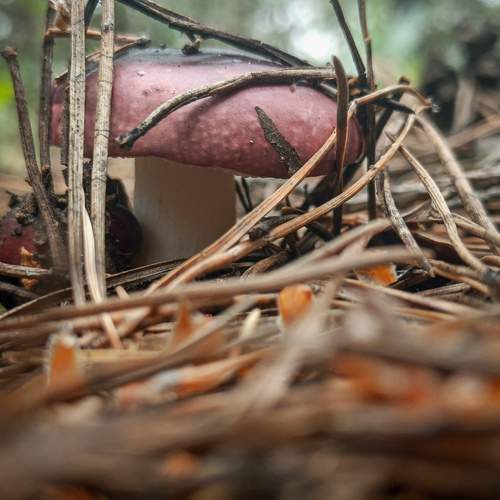 Photo #13689598
