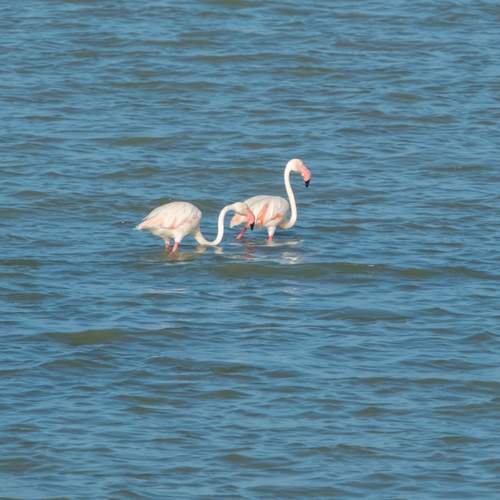 Photo #13689654