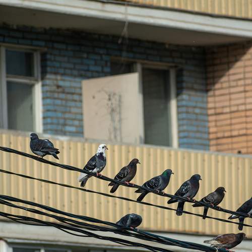 Photo #13689656