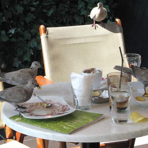 Photo #13689694