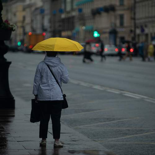 Photo #13689764