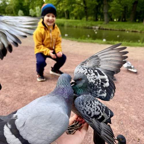 Photo #13689769