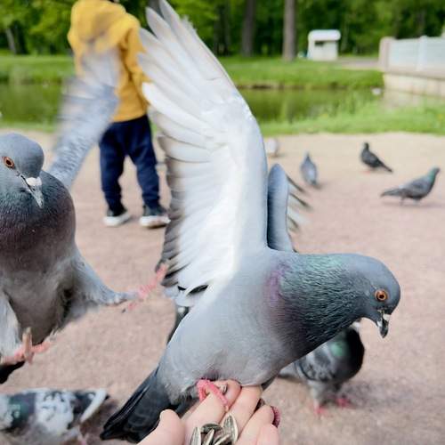 Photo #13689770