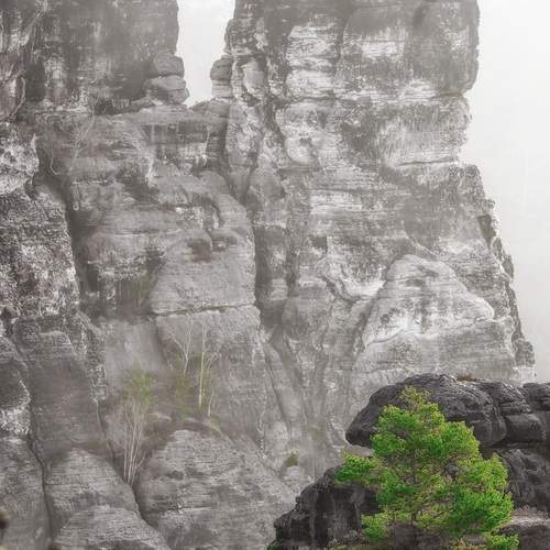 Photo #13689800