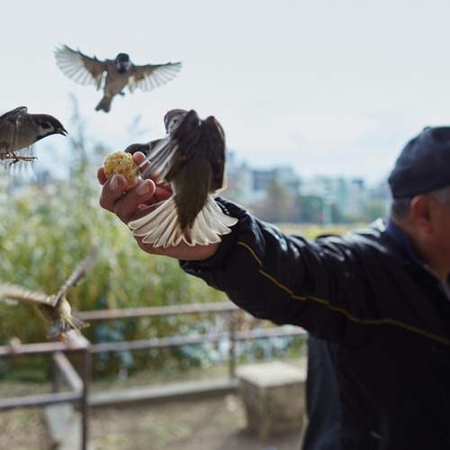 Photo #13689836
