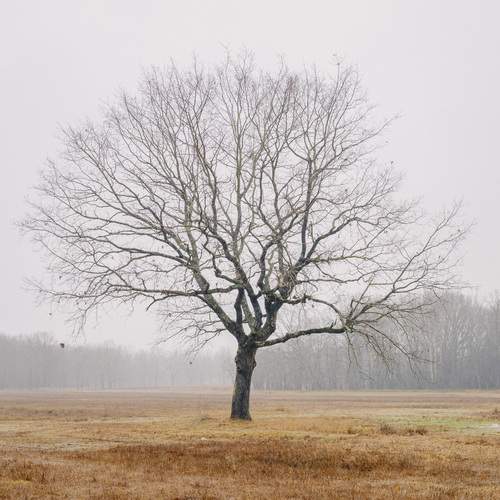 Photo #13689862