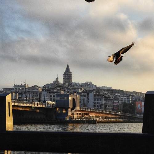 Photo #13689907