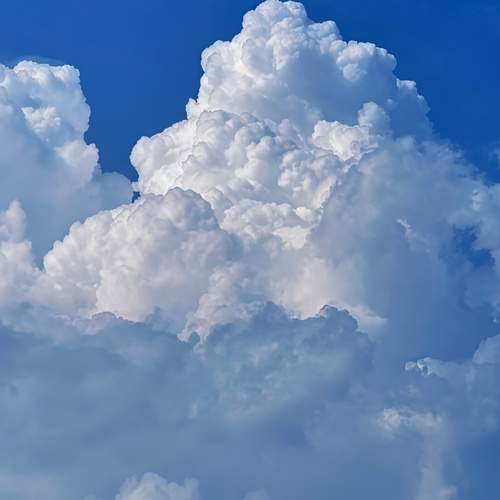 Castle in the Sky