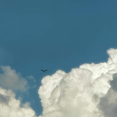 Above the Silence