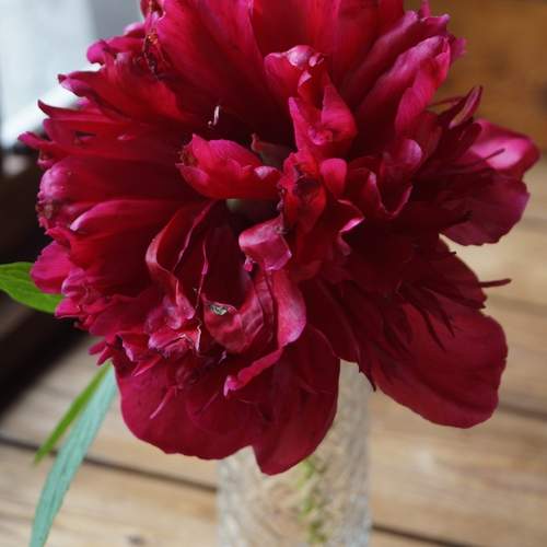 Photo #13690006