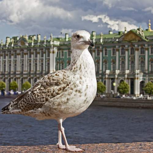 Photo #13690018
