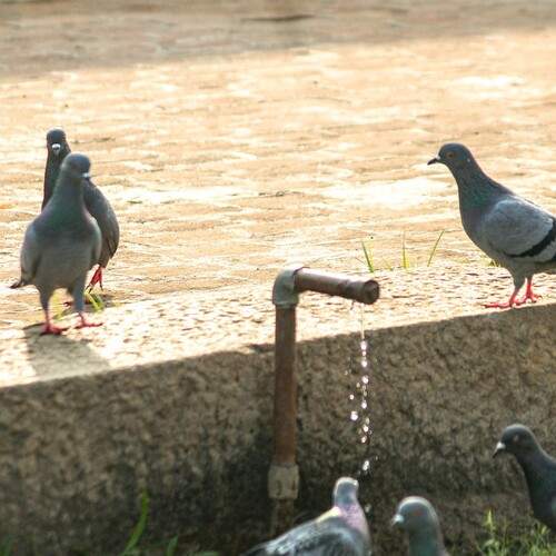 Photo #13690038