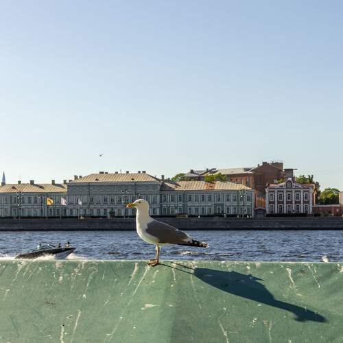 Photo #13690059