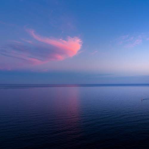Photo #13690086