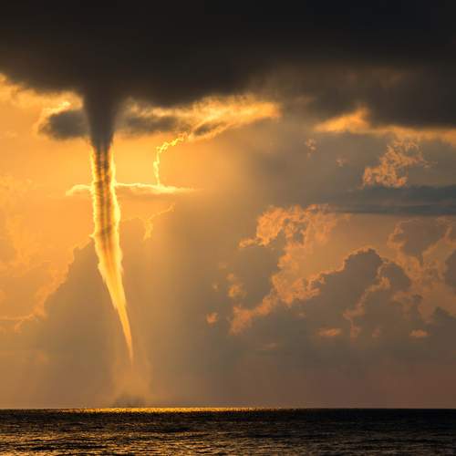 Photo #13690090